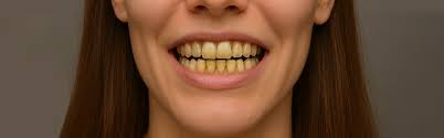 How Periodontists Play a Key Role in Treating and Preventing Gum Disease