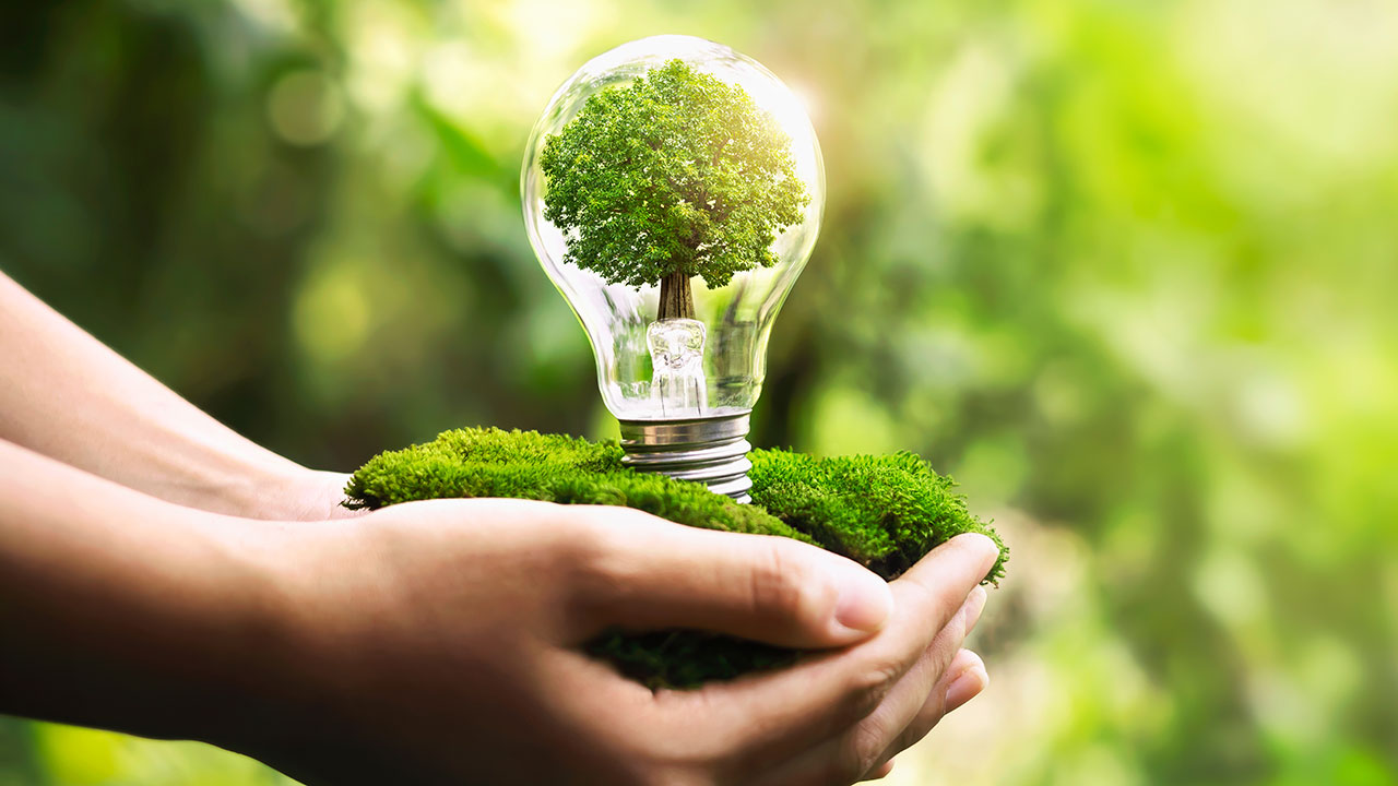 How to Create a Sustainable Lifestyle at Home