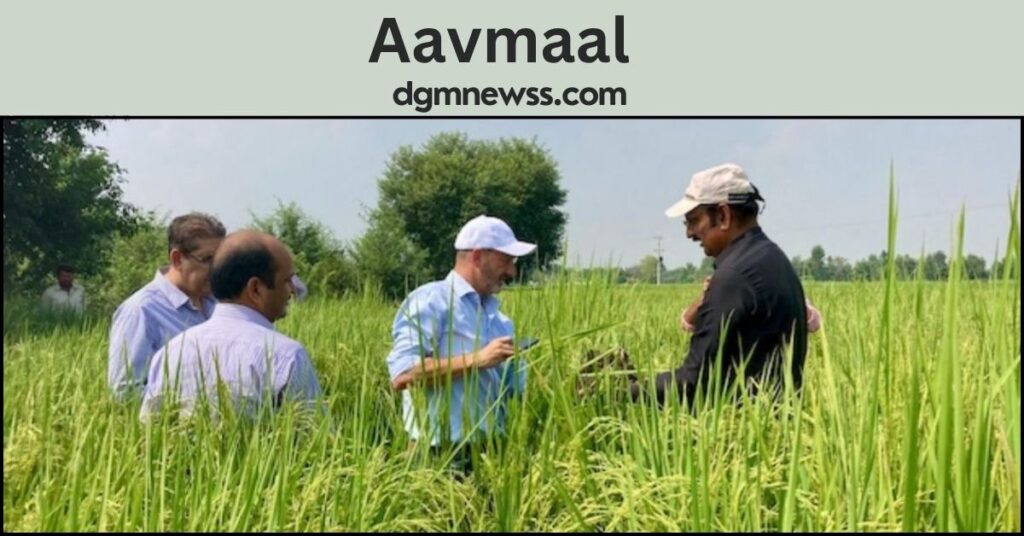 Aavmaal