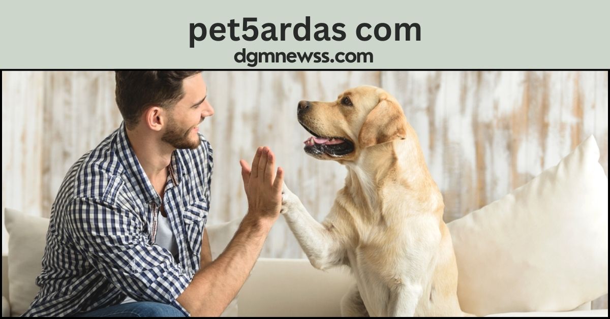 pet5ardas com